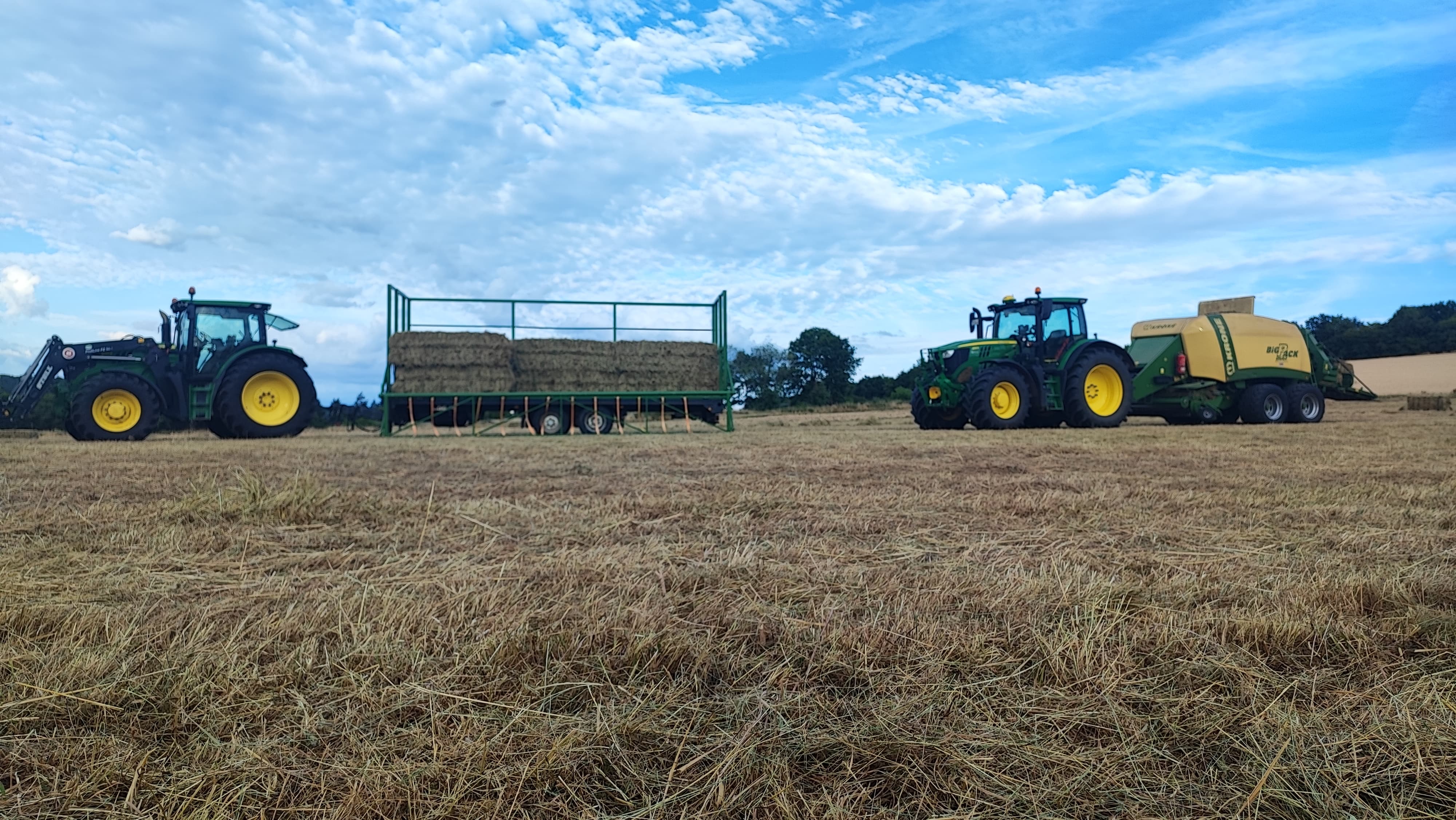 Black Angus Kuh mit Kalb im Sonnenuntergang auf dem Biohof Wahsner
